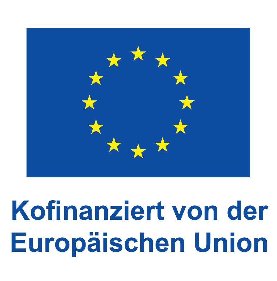 V Kofinanziert Von Der Europäischen Union Pos
